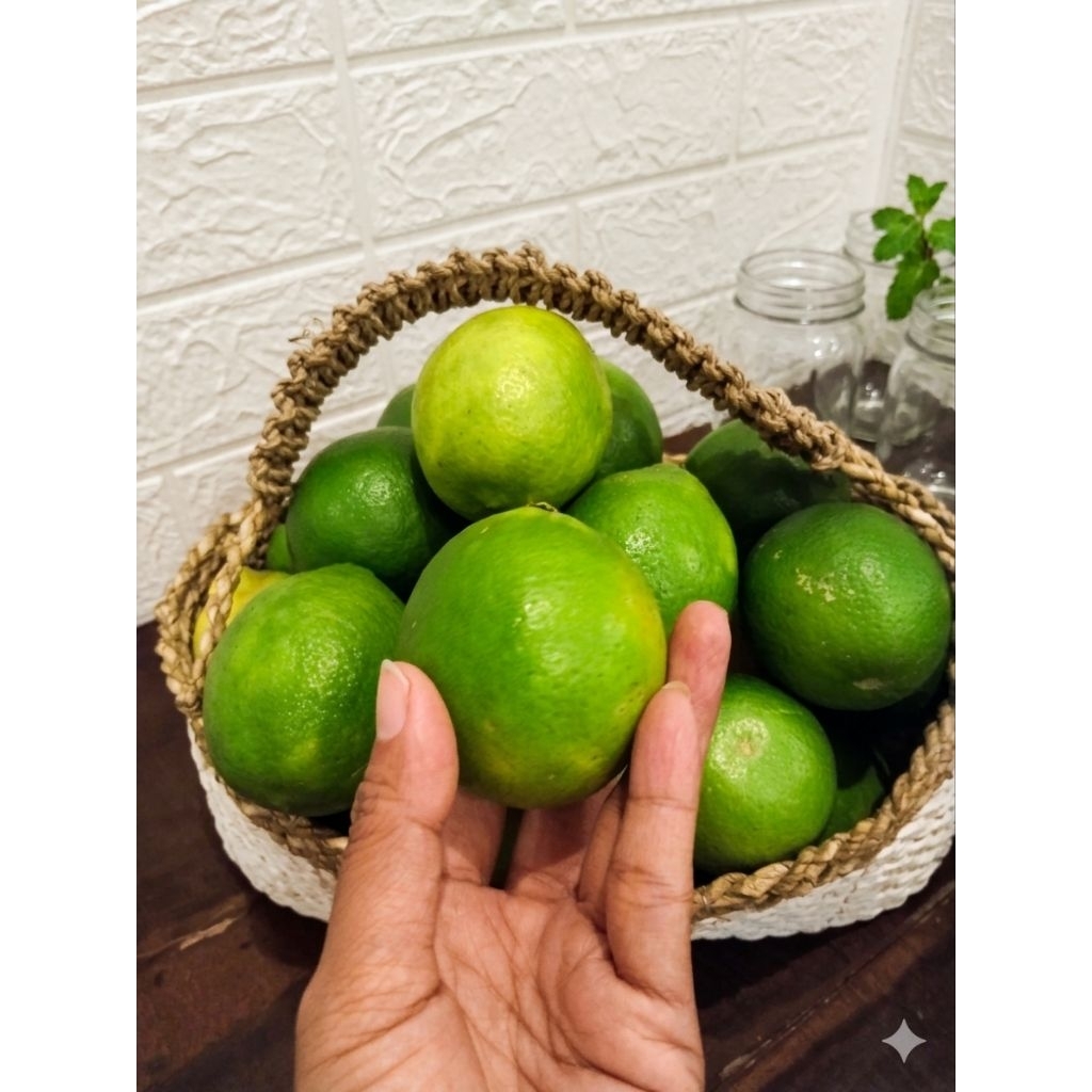 LEMON LOKAL FRESH / LEMON LOKAL PREMIUM 1KG