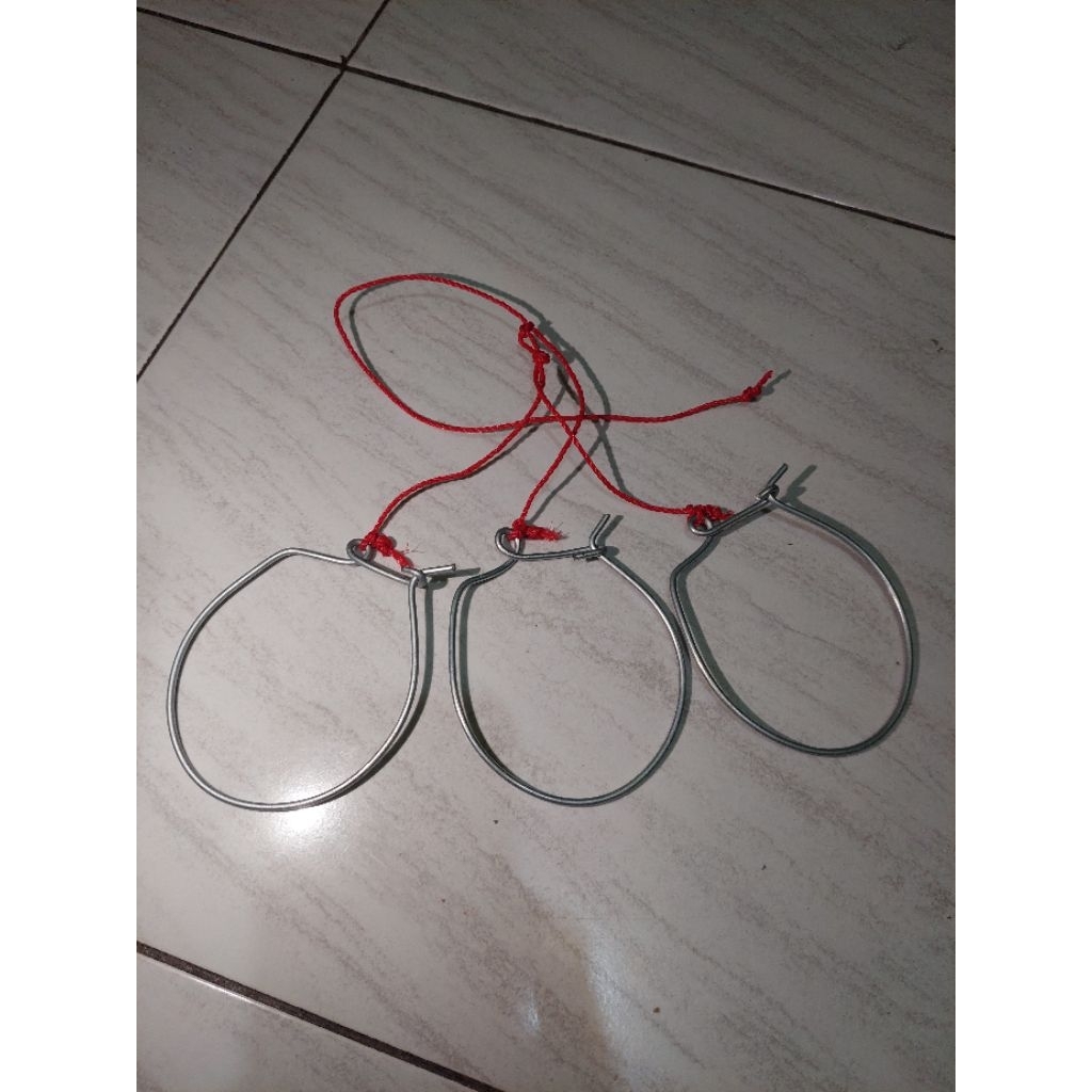 kendatan ikan cantolan ikan 3pcs