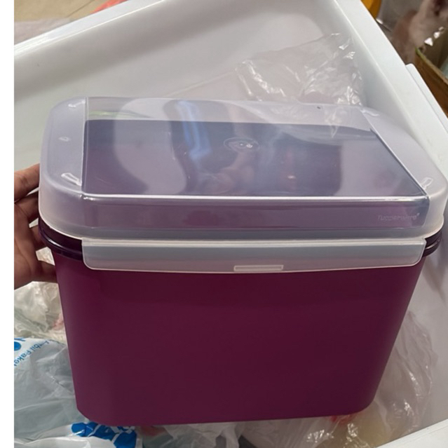 Signature Tupperware 6.5 liter