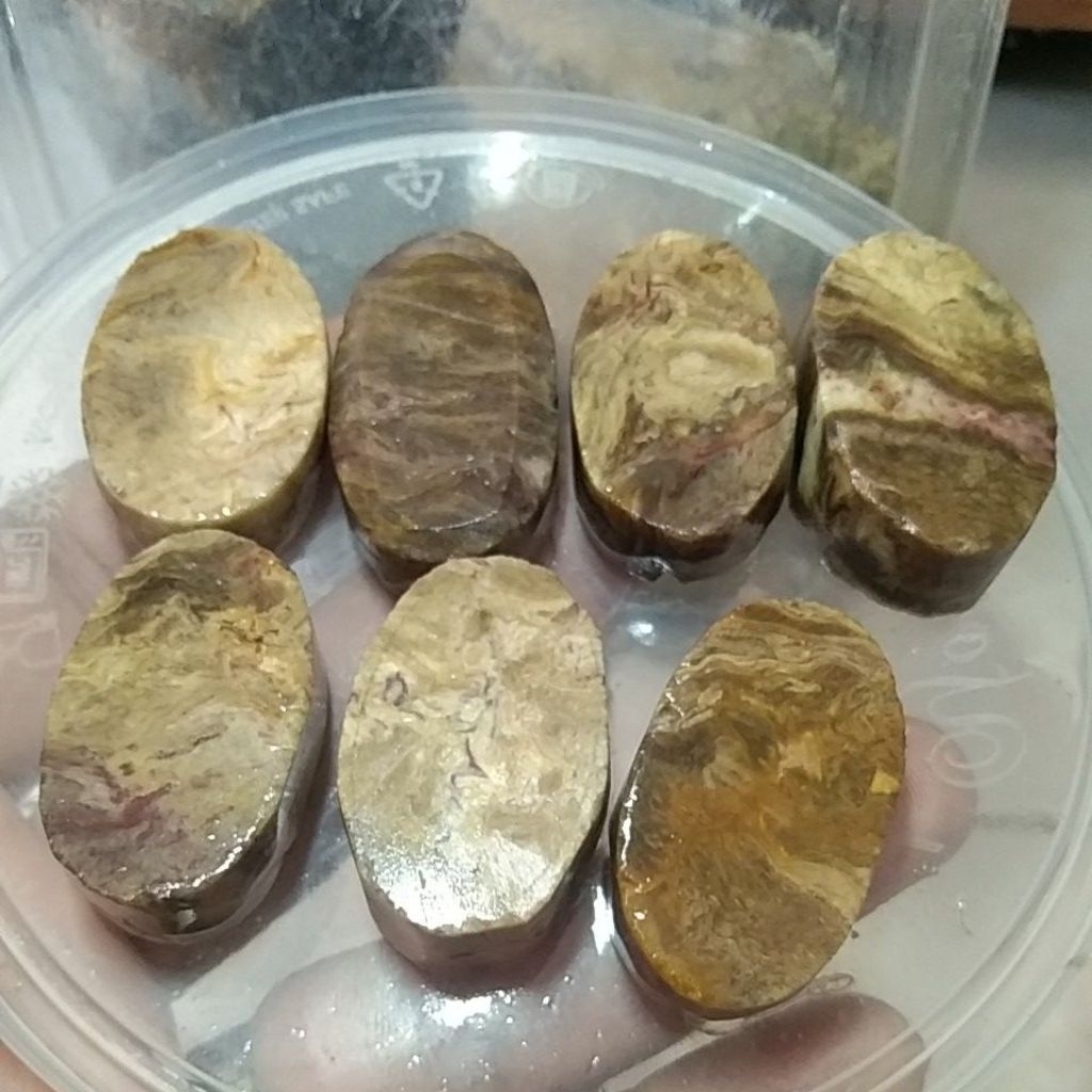 BATU FOSIL KAYU ASEM MOTIF SERAT PAMOR CRYSTAL