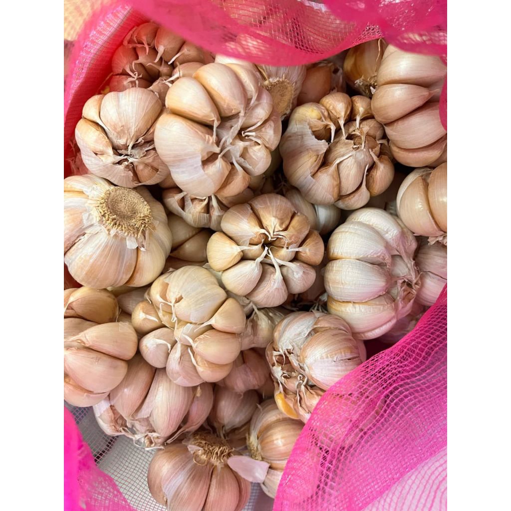 Bawang Putih Kupas 1Kg Fresh Bersih | Kualitas Super Murah Grosir Bawang putih 1kg Bawang putih kupa