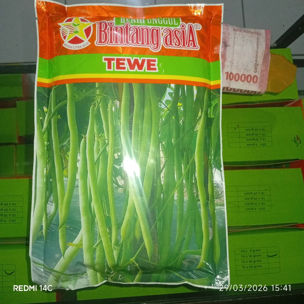 benih buncis tewe bintang asia 500 gram