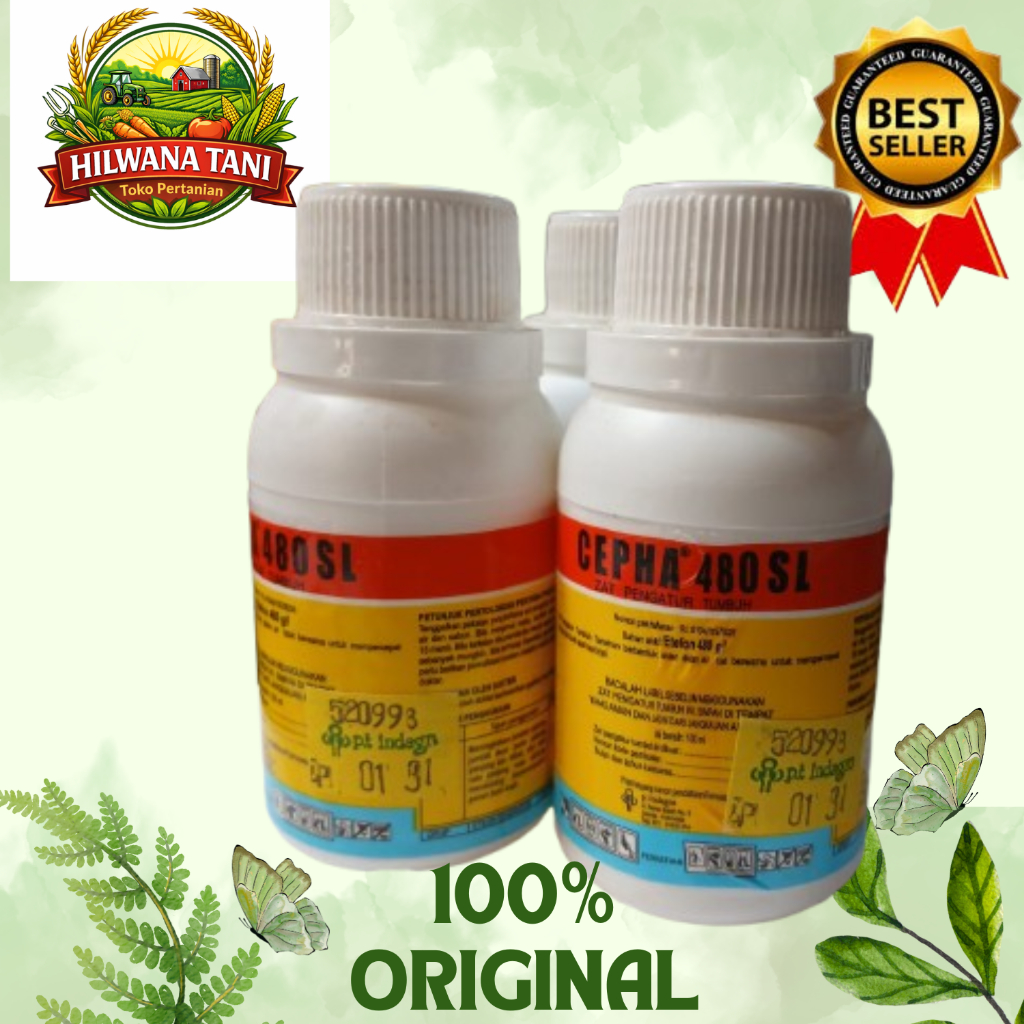 CEPHA 480 SL 100 ML ZAT PENGATUR TUMBUH / PEMATANG BUAH / CEPHA 100ML