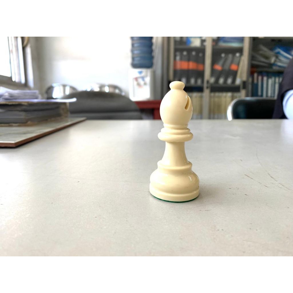 Bidak catur DGT premium satuan