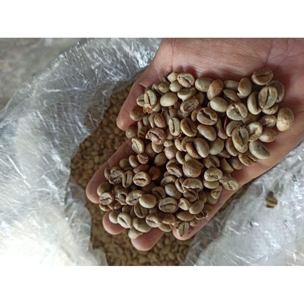 biji kopi robusta mentah greanbean 1 kg