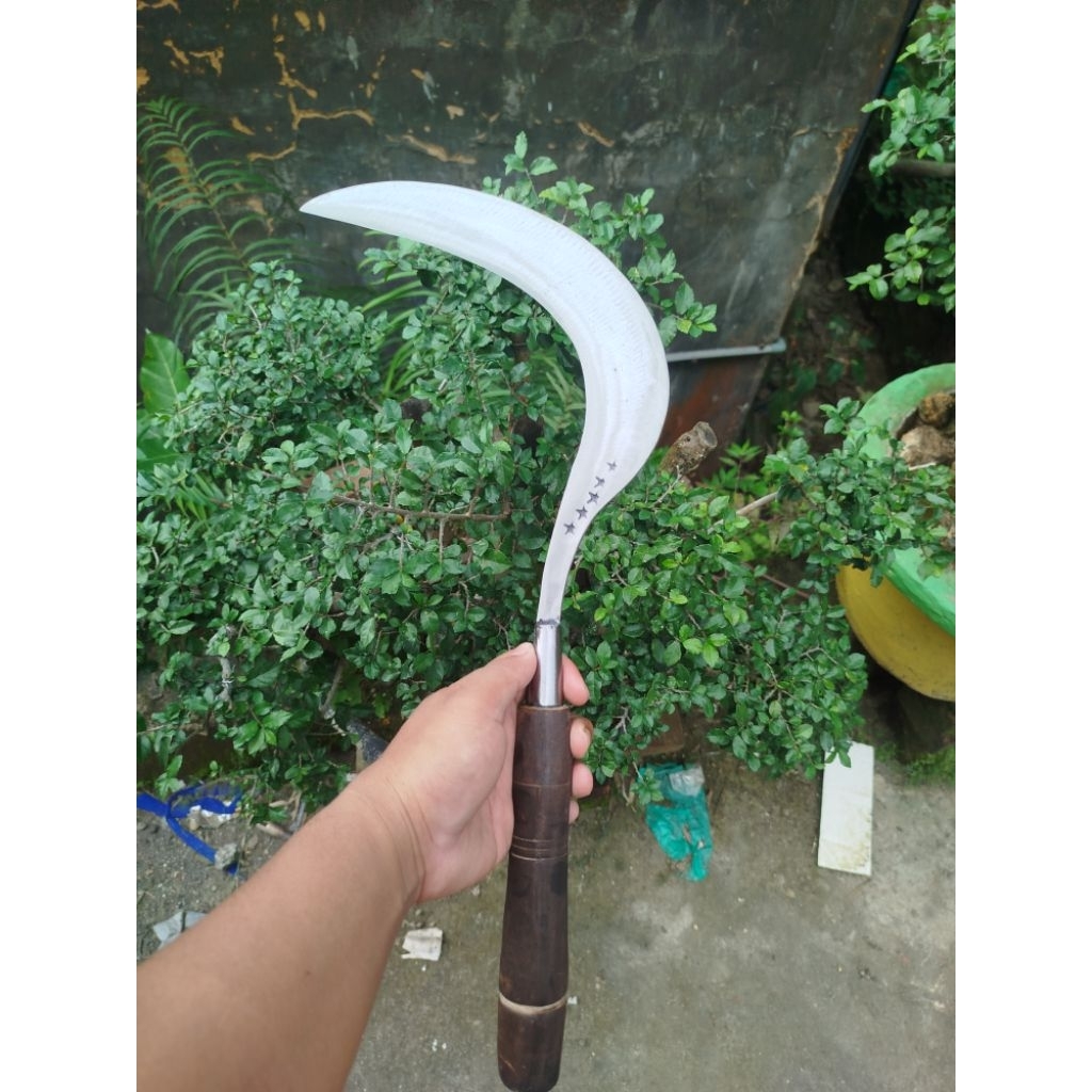 Alat Tani Arit Rumput Sabit Padi Ndorit Madura