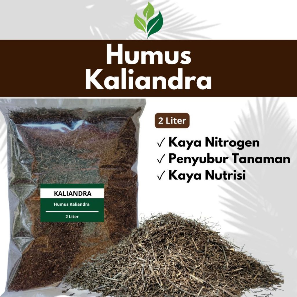 Humus kaliandra Media tanam kaliandra