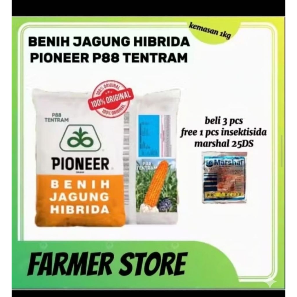 BENIH JAGUNG HIBRIDA PIONEER P88 TENTRAM KEMASAN 1KG ORRIGINAL