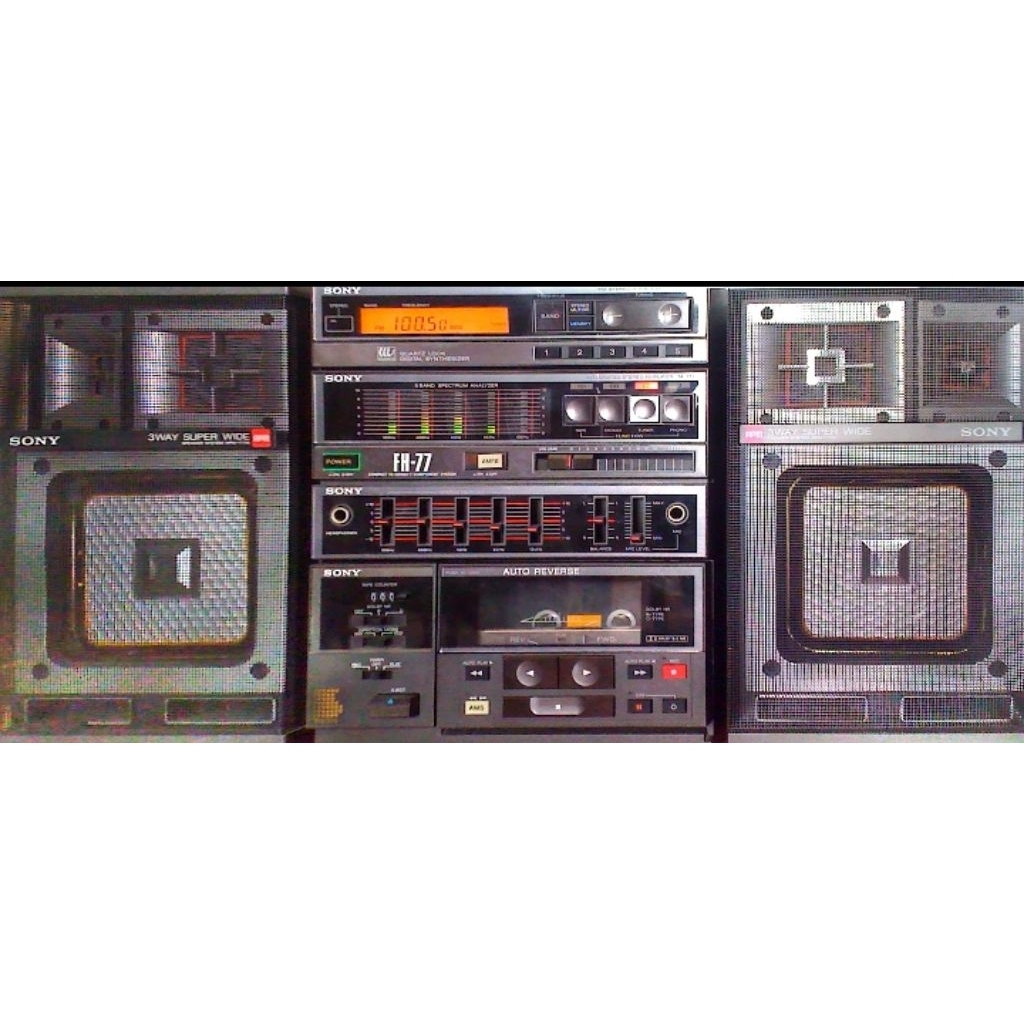 Sony Fh 77