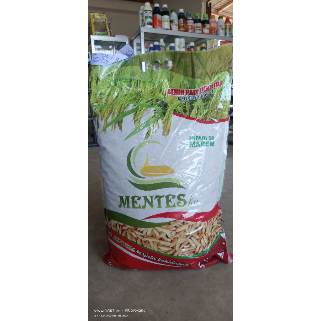 Benih padi Inpari 50