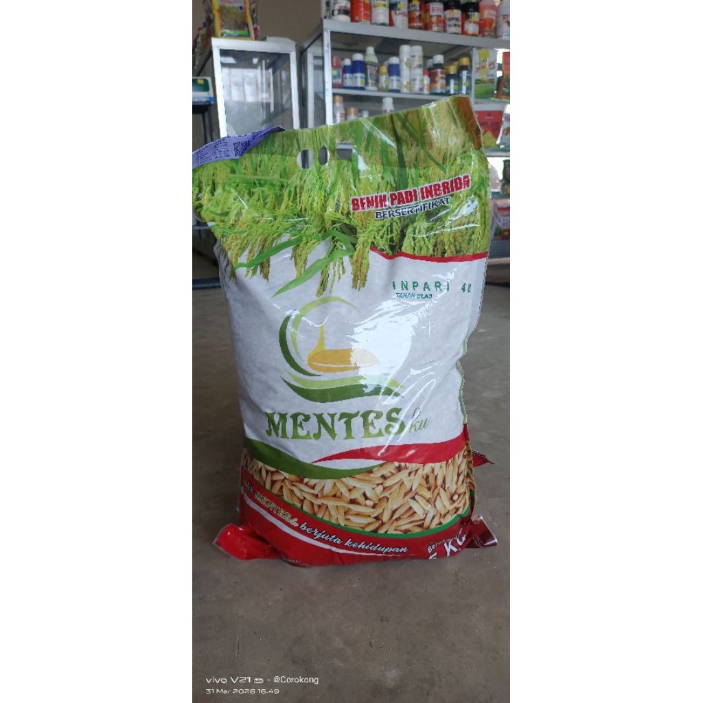 Benih Padi Inpari 48