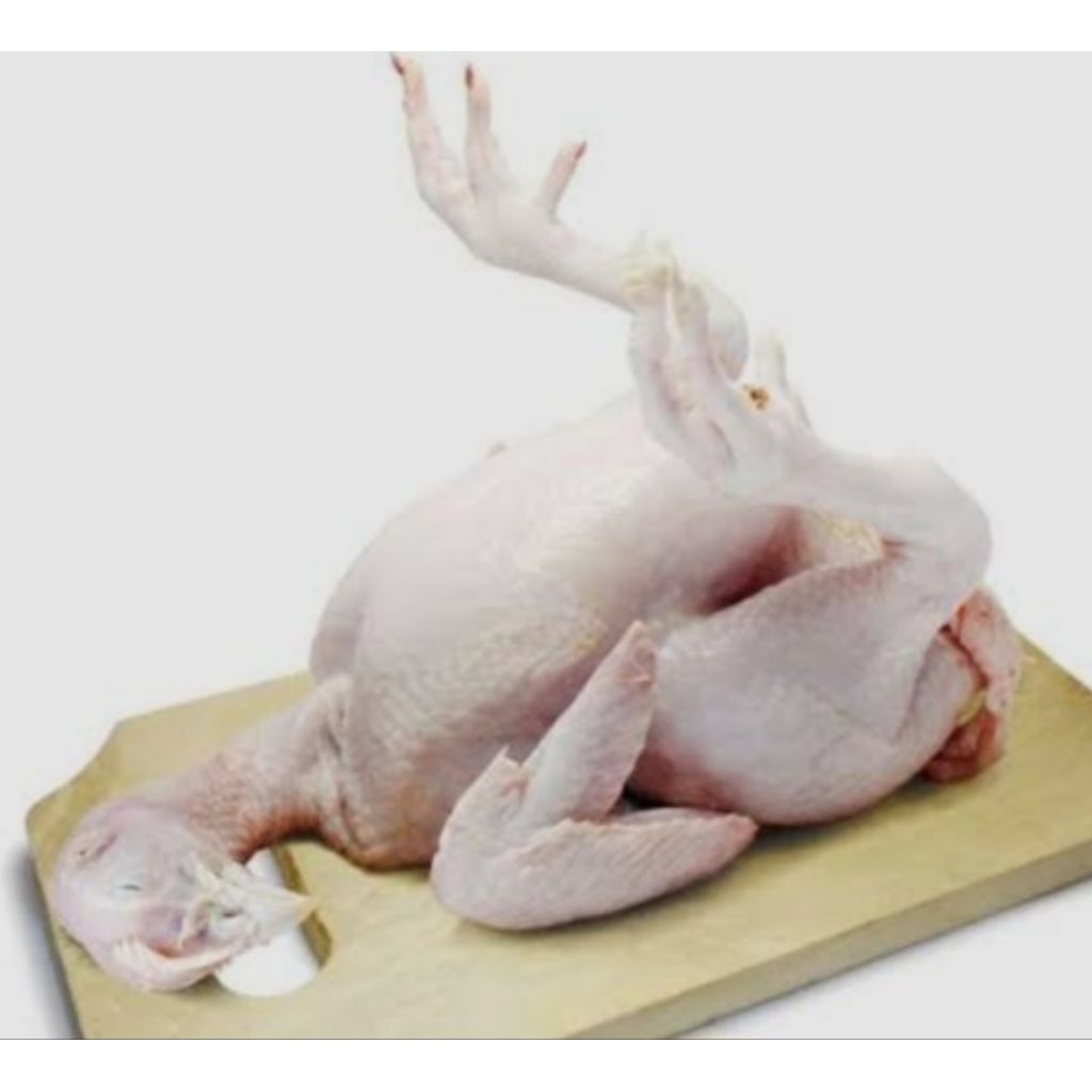 ayam utuh 1 ekor