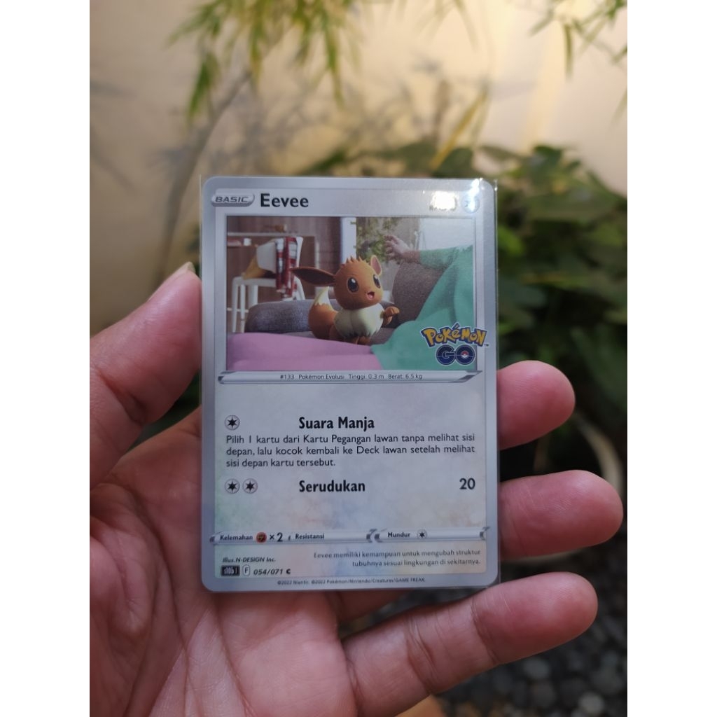 Kartu Pokemon TCG Indonesia Eevee Pokemon GO
