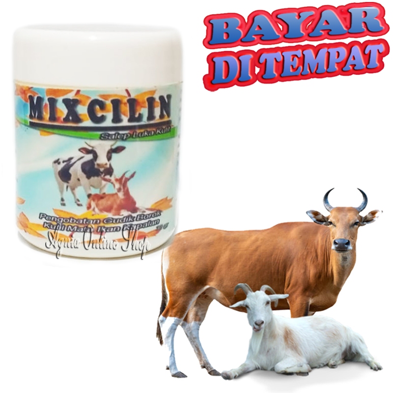 Obat Infeksi Luka Kulit Sapi Kambing Salep MIXCILIN Anti Kapalan Kutil Mata Ikan