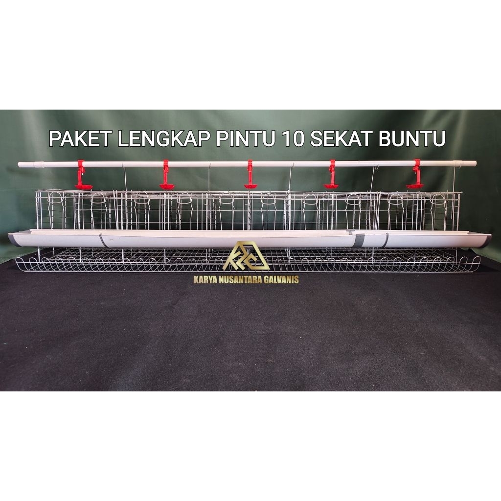 GALVANIS  BATERAY KANDANG LAYER AYAM PETELUR PAKET LENGKAP 10 PINTU ISI 10 EKOR BATRAI