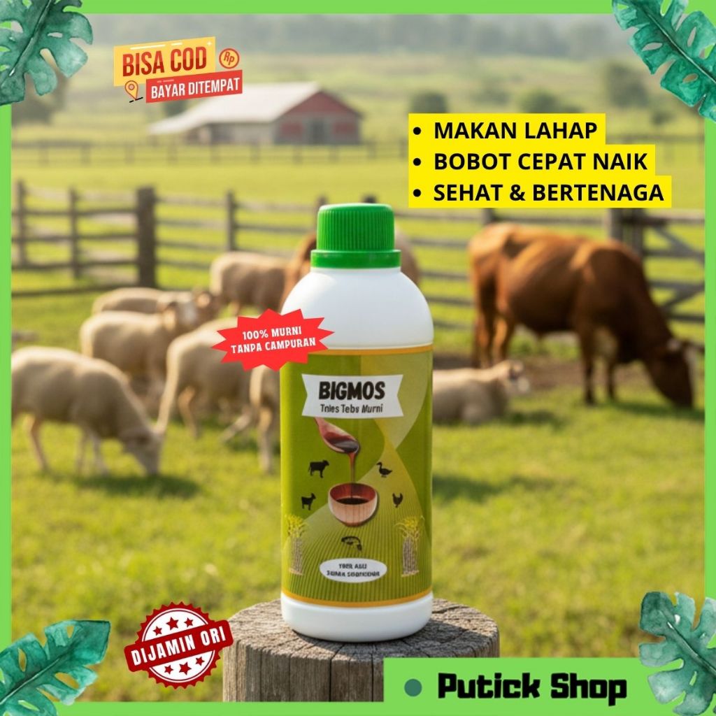 PENGGEMUK KAMBING SAPI BIGMOS MOLASE TETES TEBU PENAMBAH NAFSU MAKAN TERNAK KAMBING SAPI ENTOK AYAM