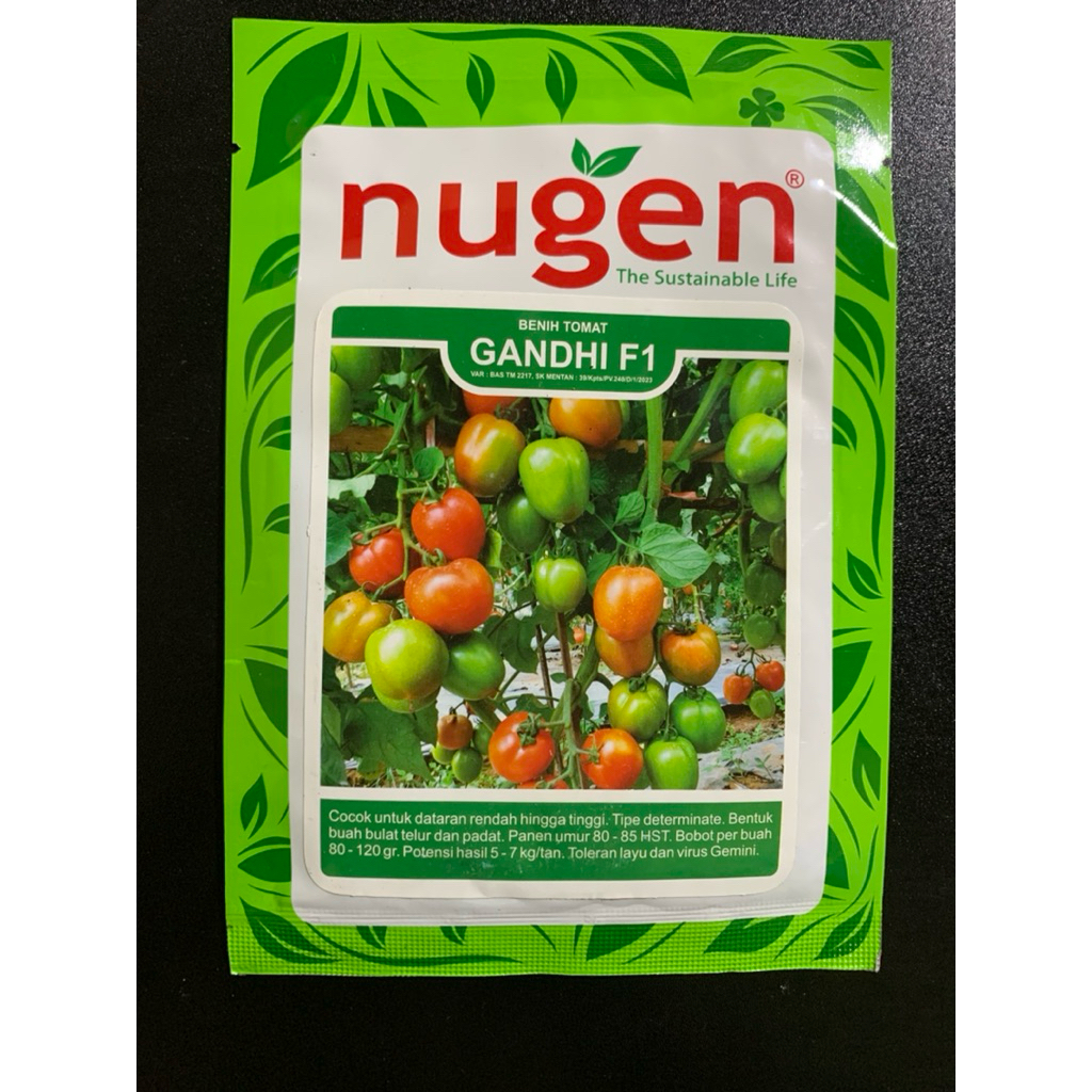 Benih Tomat Gandhi F1 Nugen Tahan Virus Produktif Buah Bulat Padat Panen Cepat Cocok Dataran Rendah 