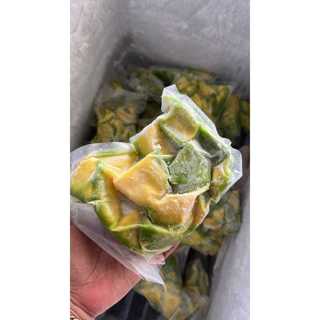 Alpukat Mentega Frozen 500gram / pax - Alpukat mentega - Alpukat frozen fresh