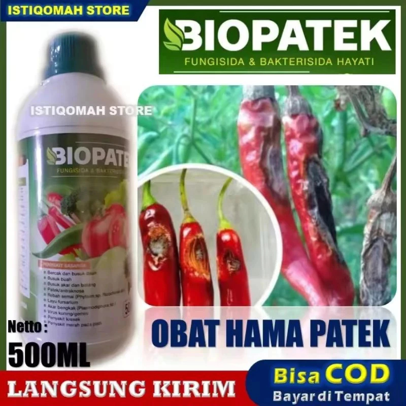 Fungisida Obat Cabe Premium Atasi Daun Keriting dan Rontok,Obat Daun Cabe Kuning Keriting dan Rontok