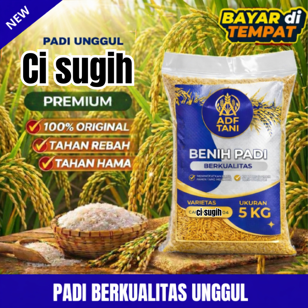 BENIH PADI CIHERANG SUGIH ORIGINAL KEMASAN 5KG