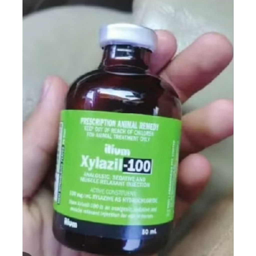 xyla - ilium xylazil 100 - 50 ml Obat Hewan Original
