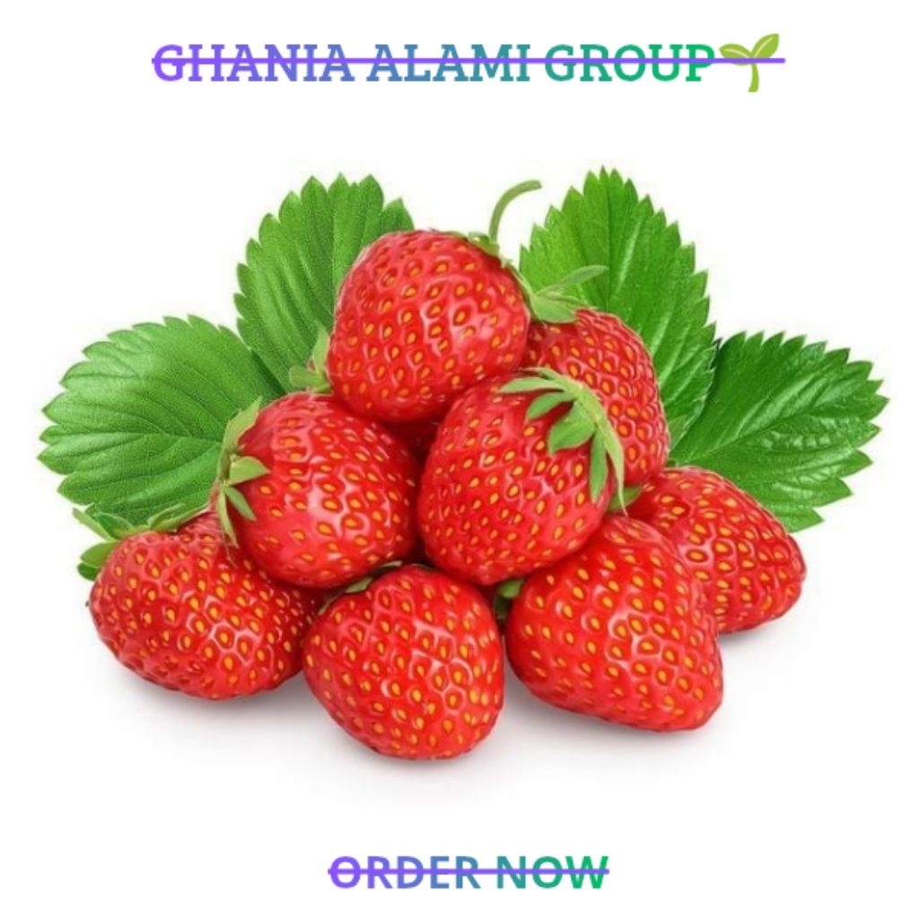 [PREMIUM] Buah Strawberry Asam Manis Segar 1Kg Organik Bandung