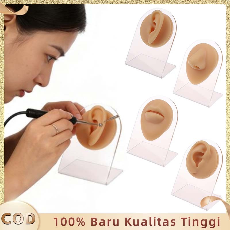 Model Telinga Silikon Model Alat Tindik Latihan Profesional Telinga Manusia Palsu