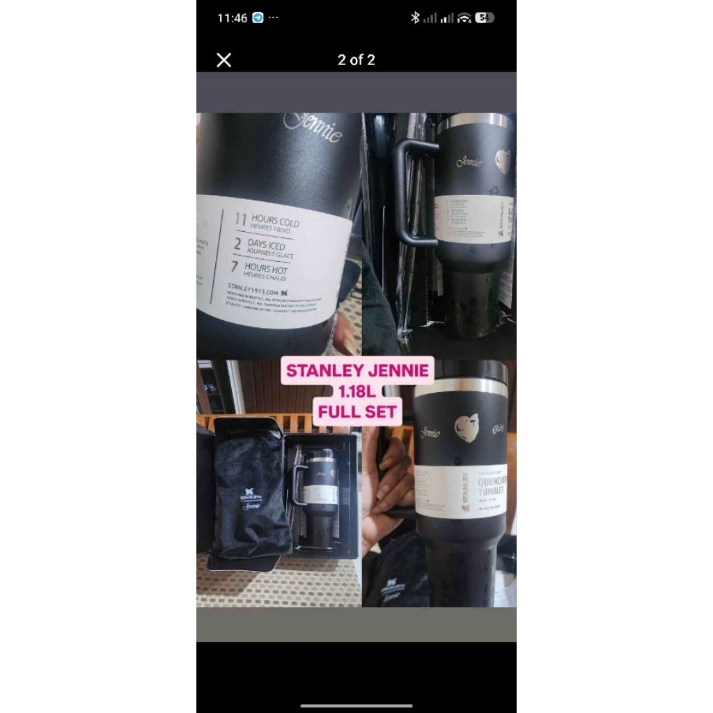 Tumbler Stanley 1913 x Jennie