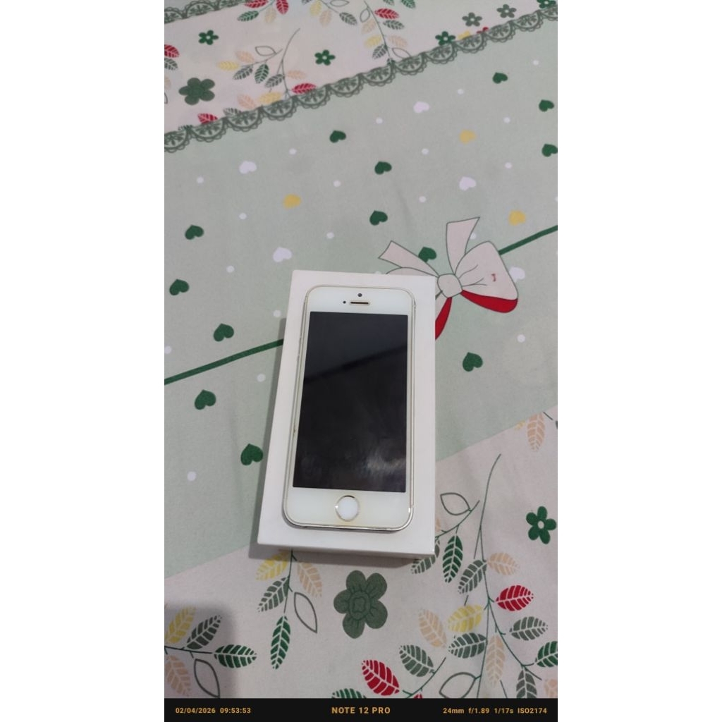 iPhone 5S 32Gb