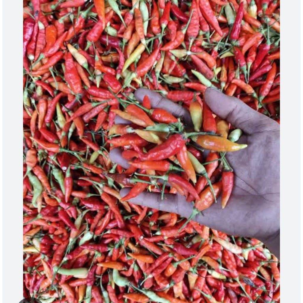 CABE TIUNG FRESH