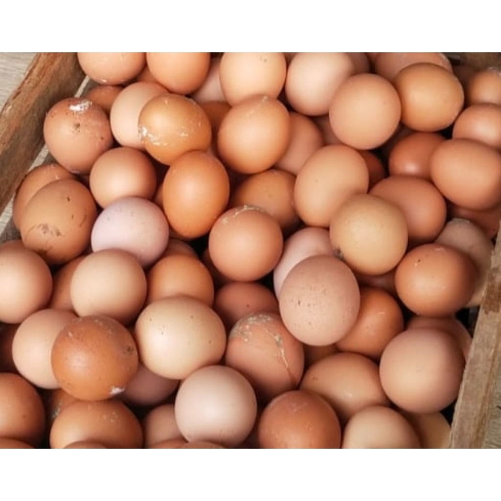Telur Ayam 1kg
