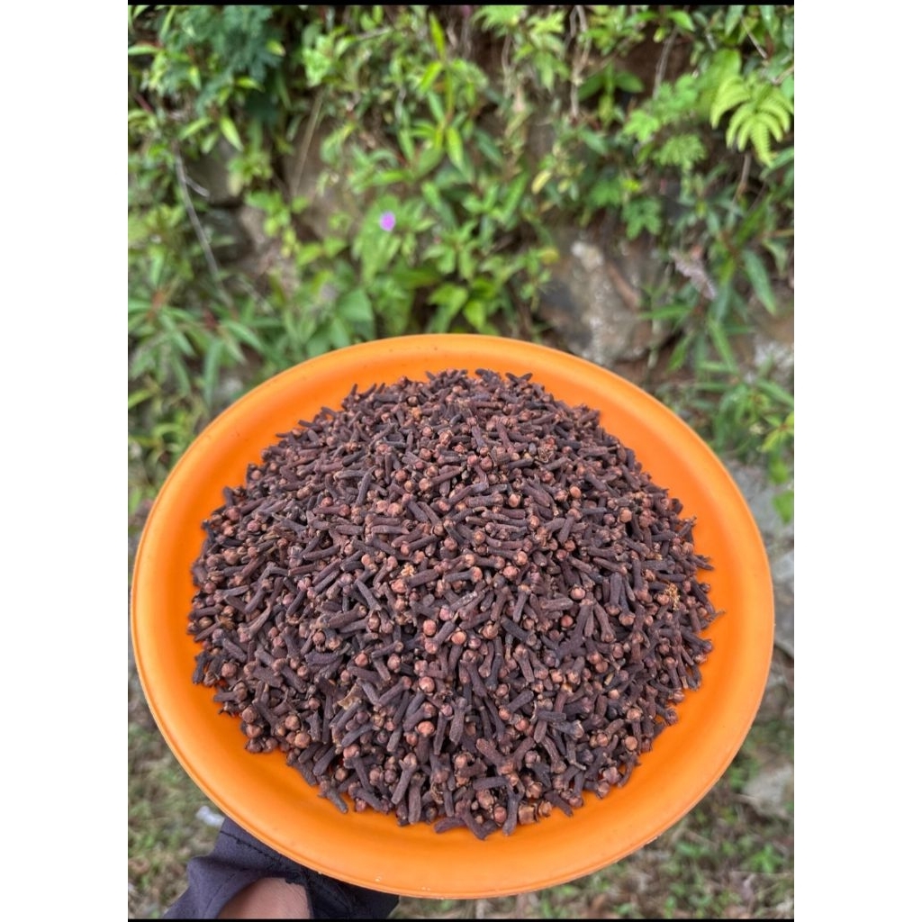 Cengkeh Kering kualitas Grade A | Asli dari petani | Cengkeh kering