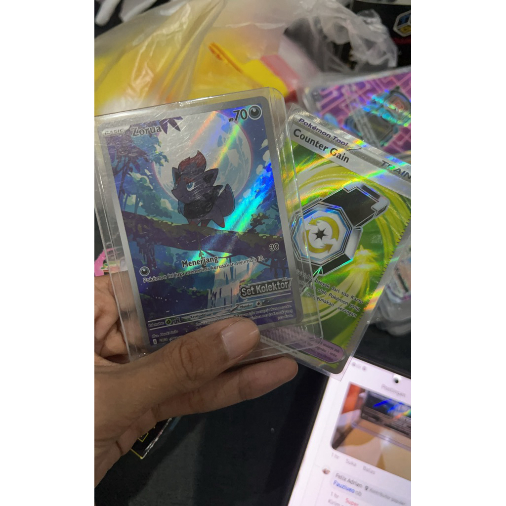 Zorua set kolektor Felix Adrian