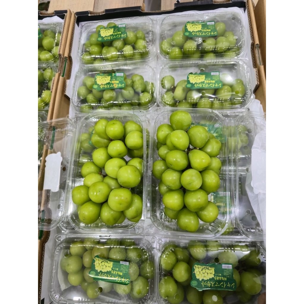 anggur shine muscat 1 dus isi 10 pack