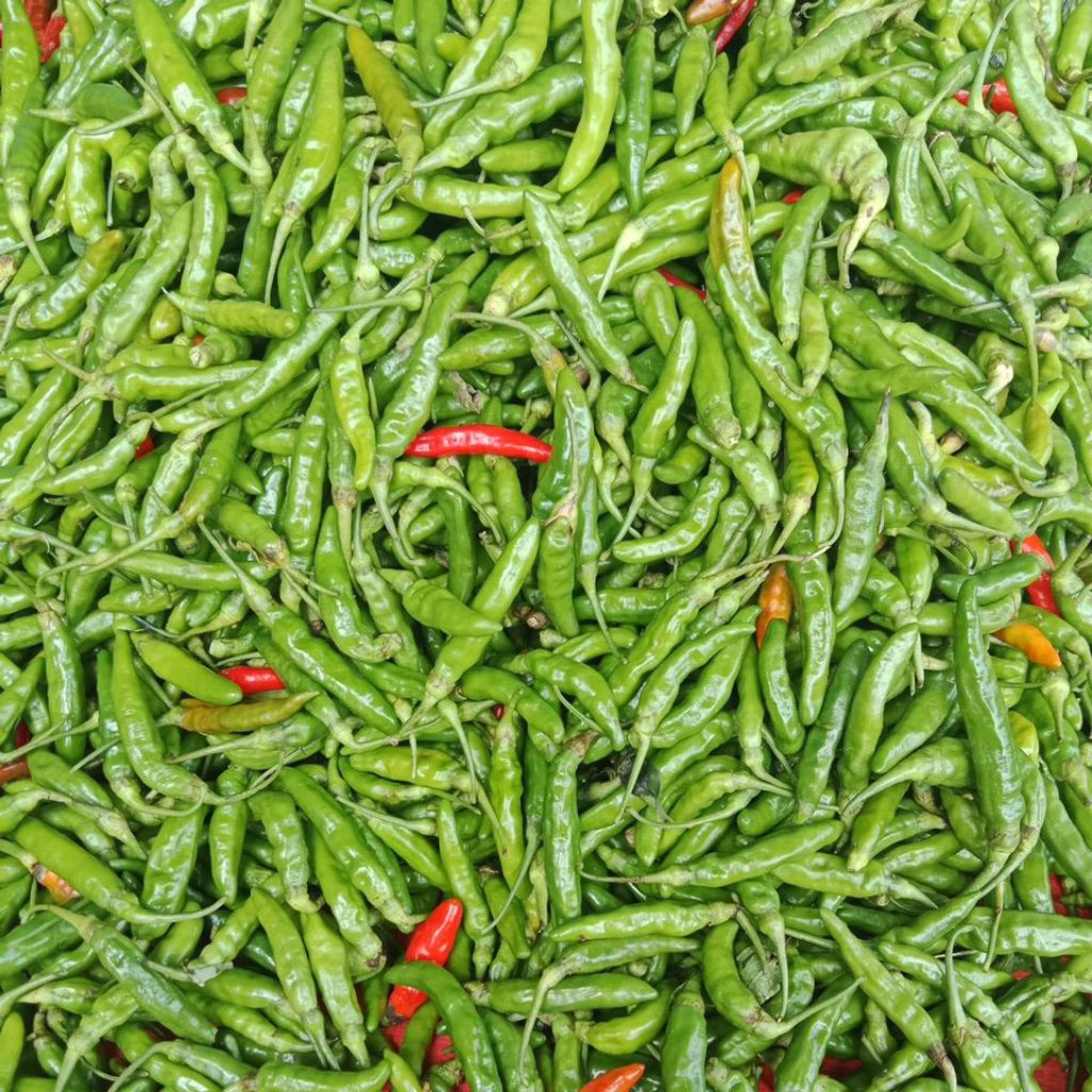 Cabe Rawit 1kg Cabe Rawit hijau 500gr Cabe Rawit Medan