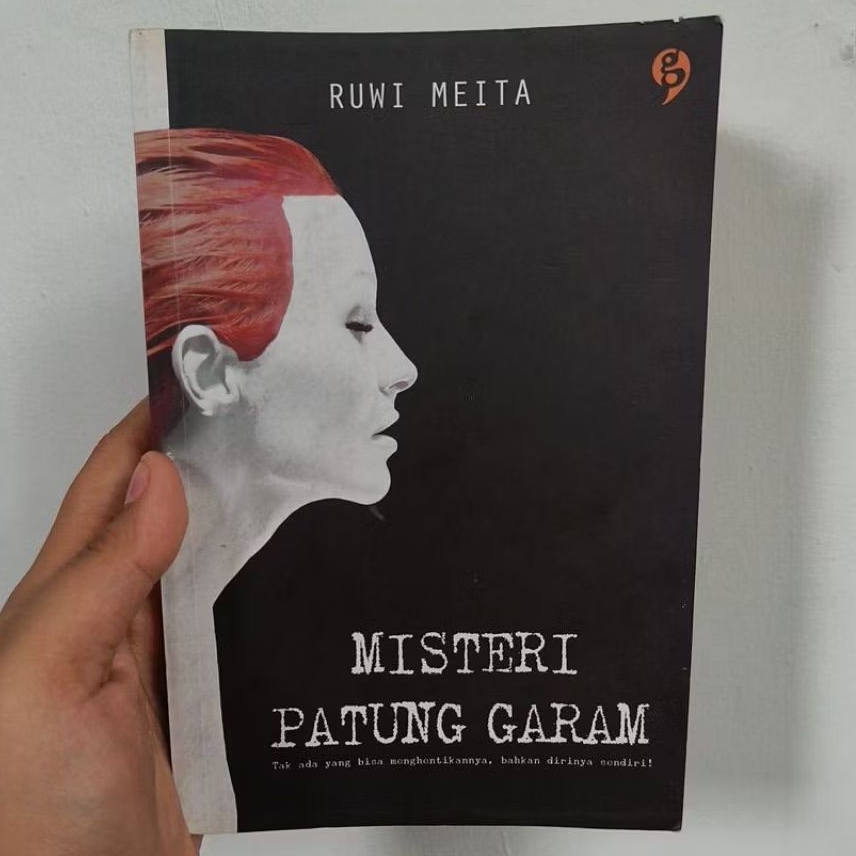 Novel Misteri Patung Garam (Ruwi Meita)