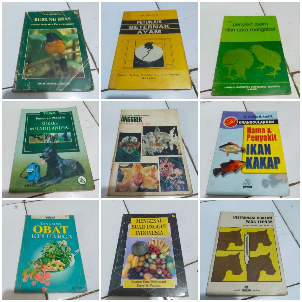 ORI Inseminasi buatan pada ternak / Mengenal buah unggul Indonesia / Penyakit ayam dan cara mengatas
