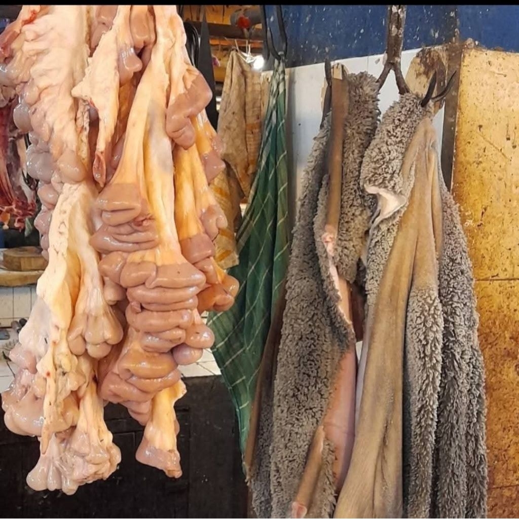 babat sapi dan usus/jerohan sapi