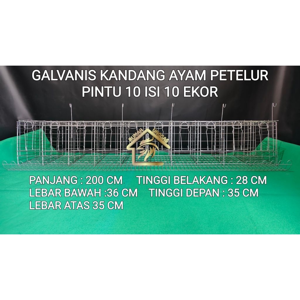 GALVANIS KANDANG LAYER AYAM PETELUR PINTU 10 ISI 10 EKOR