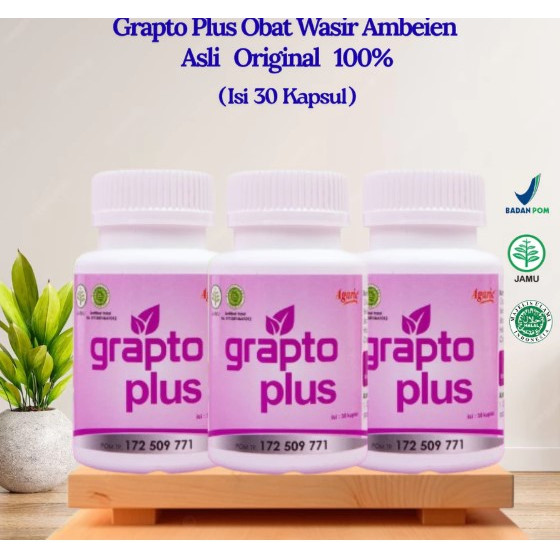 Obat Wasir Alami Grapto Plus Herbal Ambeien BPOM