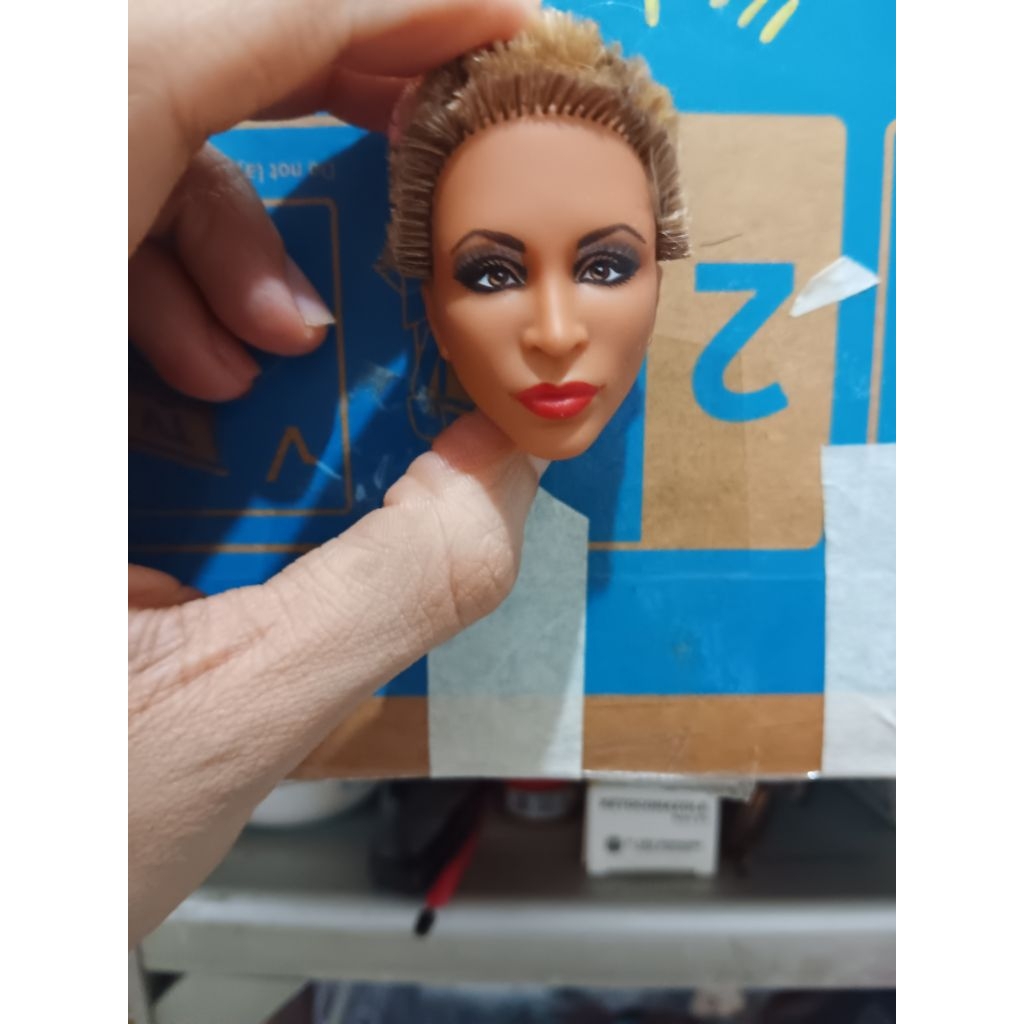 barbie collector/barbie kolektor/barbie tina turner/kepala barbie kolektor