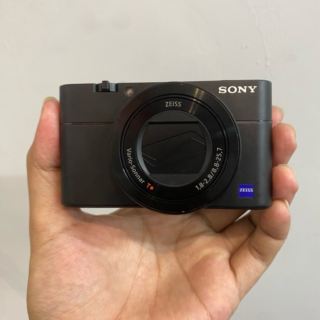 Sony RX100 Mark 5 / V