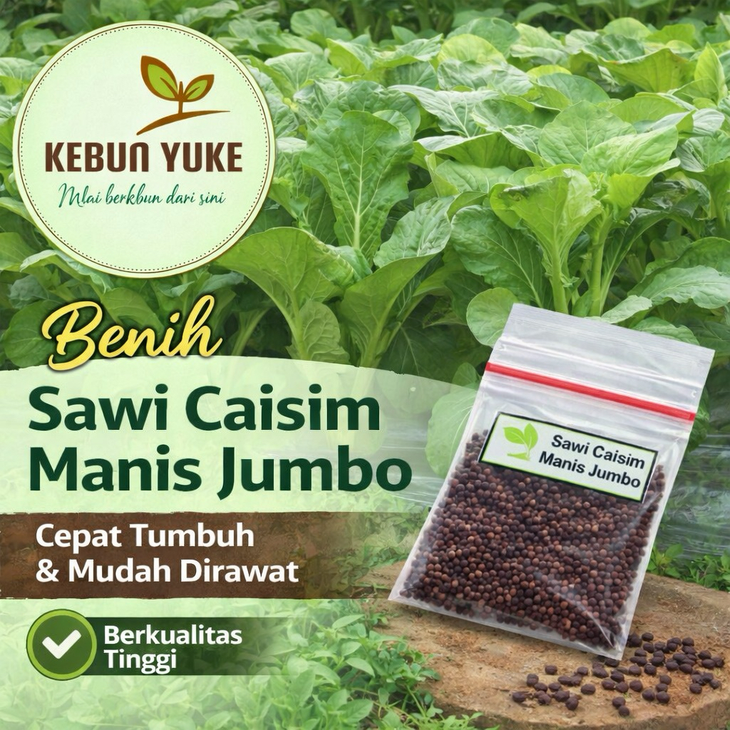 Benih Sawi Caisim Manis Jumbo Isi ±300 Biji | Tumbuh Cepat & Subur