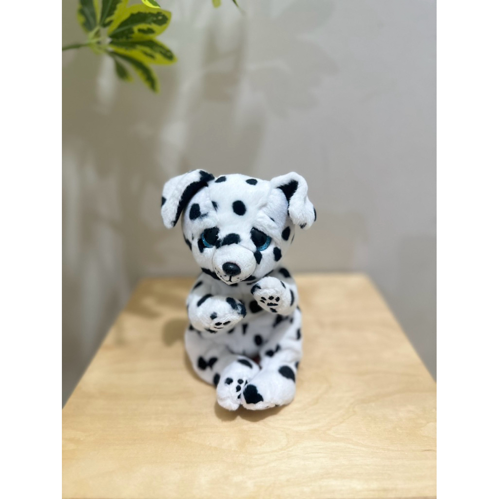 Boneka TY mabel belly beanie anjing guguk