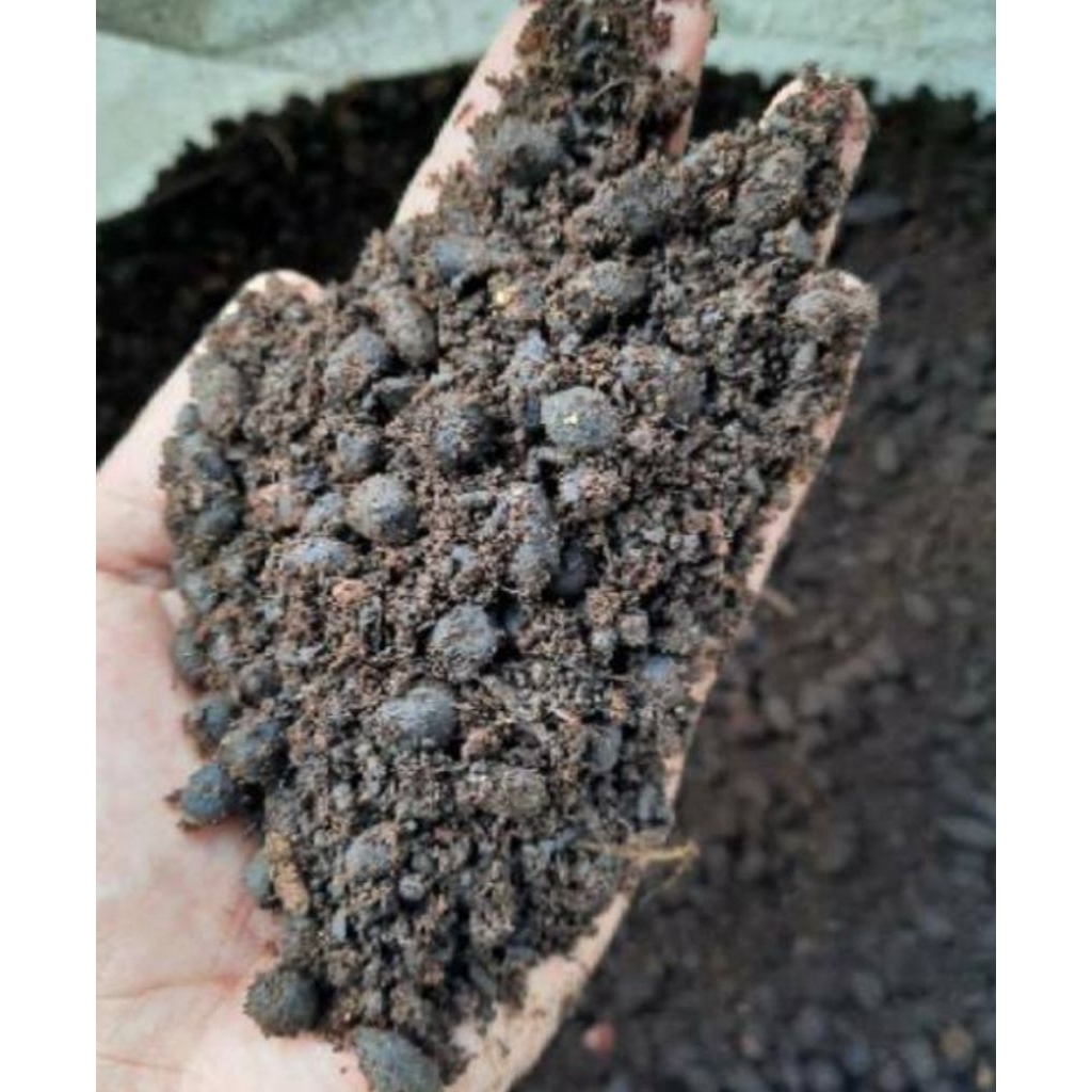Pupuk Kandang Mbekk Murni kemasan karung 10 - 20 kg