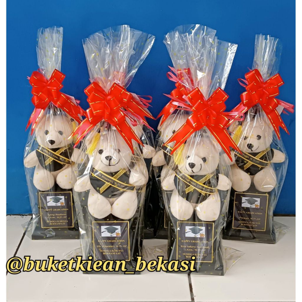 Piala wisuda/ piala boneka wisuda/ piala wisuda TK / hadiah kelulusan
