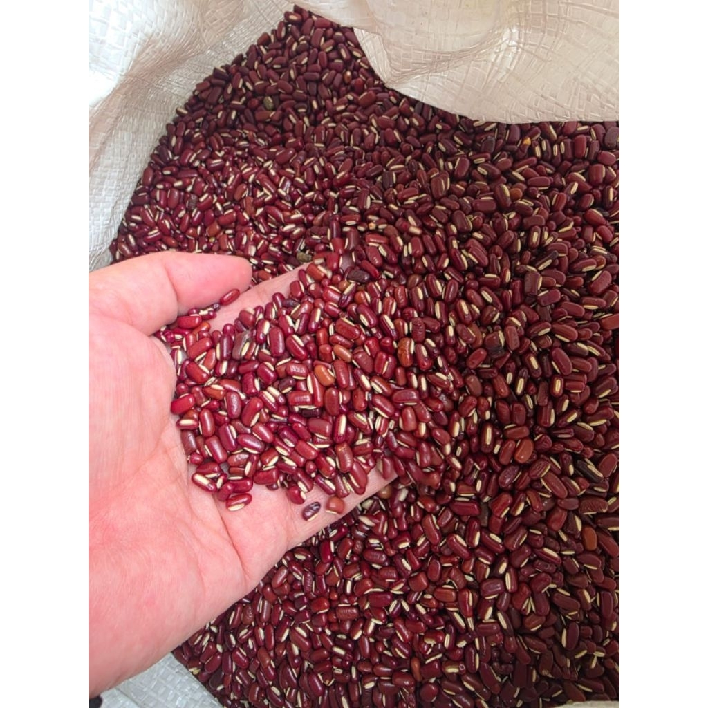 Kacang Merah Kecil / Kacang Merah Es Import Thailand - Untuk membuat es campur