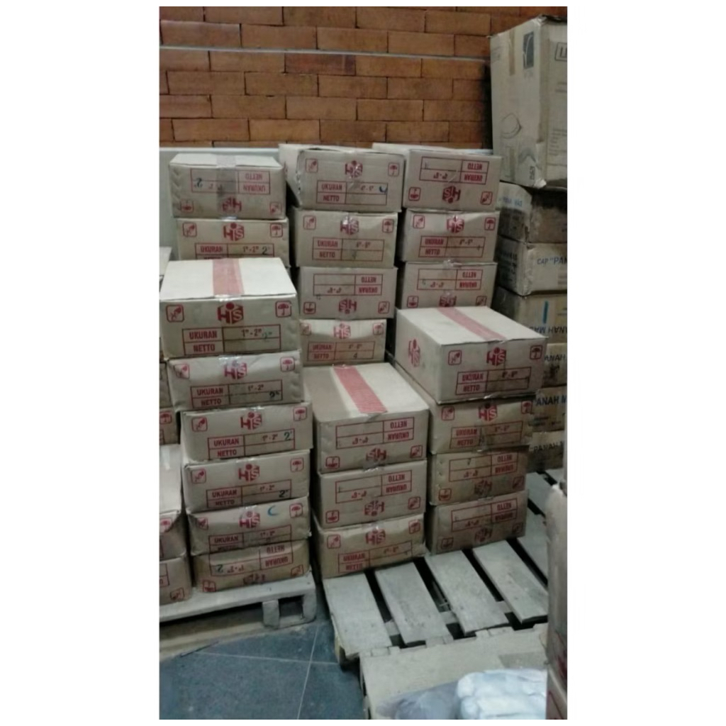 Paku kayu 7cm