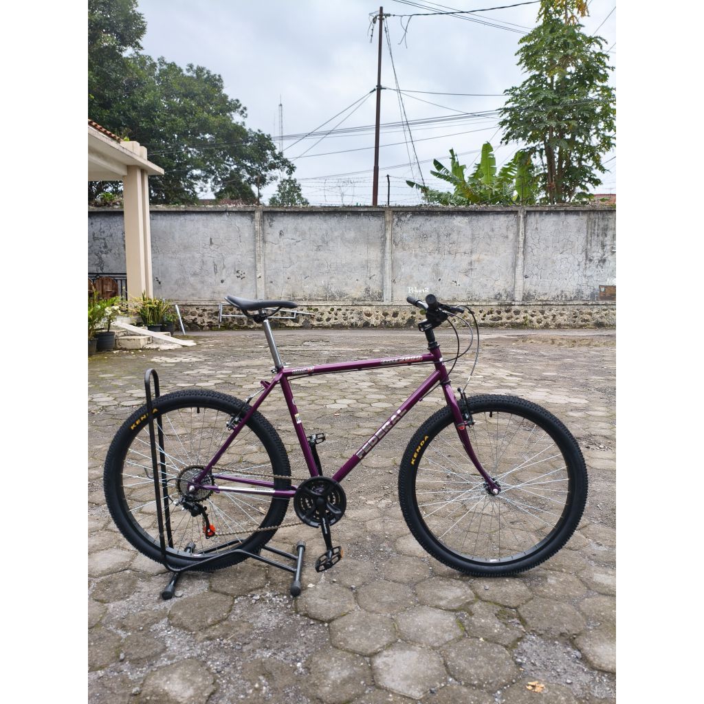 PO Commuter Bike Federal | Federal Street Cat