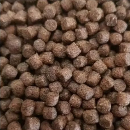 Terlaris Termurah Pelet pakan ikan lele mas mujaer 1kg